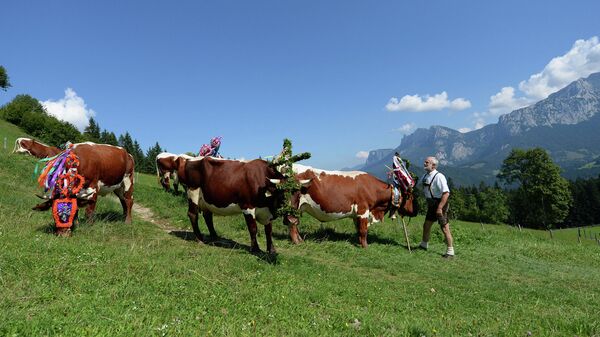 Австрийский фермер в традиционном наряде