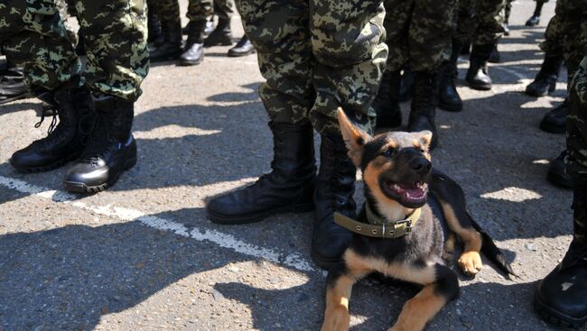 Украинские военные. Архивное фото