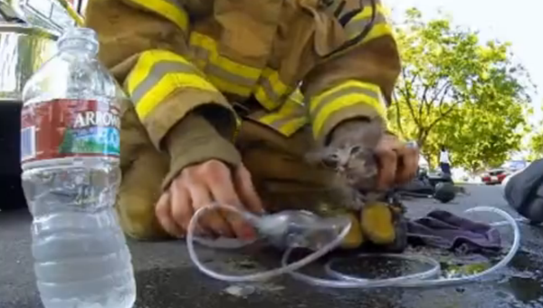 Пожарный спасает котенка