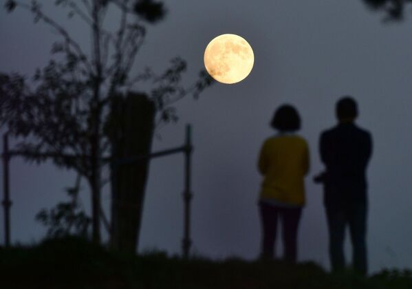 Люди смотрят на луну в Натори, Япония