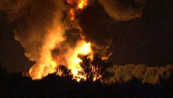 Столб огня поднялся на десятки метров  после взрыва на химзаводе в Германии
