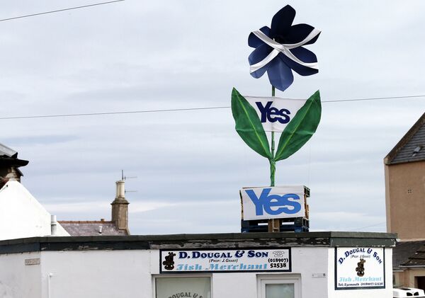 Знак в поддержку независимости Шотландии над магазином