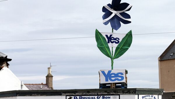 Знак в поддержку независимости Шотландии над магазином. Архивное фото