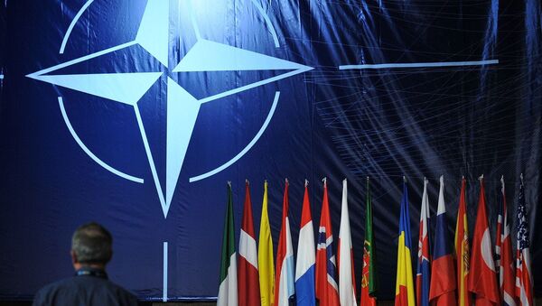 Логотип и флаги стран-участниц НАТО. Архивное фото