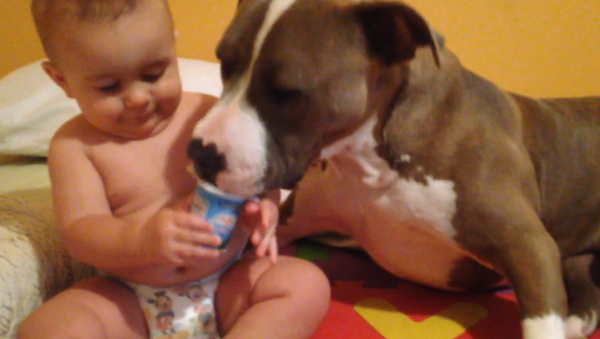 Мне не жалко: пес помог малышу съесть его йогурт