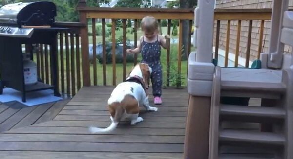 Видео в YouTube: девочка танцует с собакой