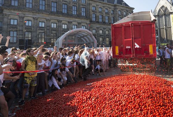 Томатная битва в поддержку голландских производителей овощей