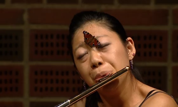 Необычный слушатель, или Концерт для флейты и бабочки