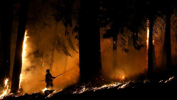 Лесной пожар в Калифорнии, США