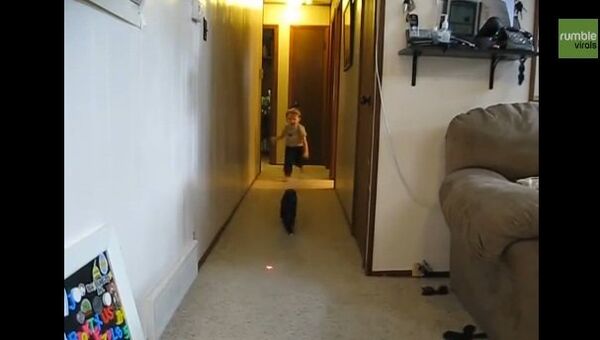 Видео в YouTube: ребенок играет с котом
