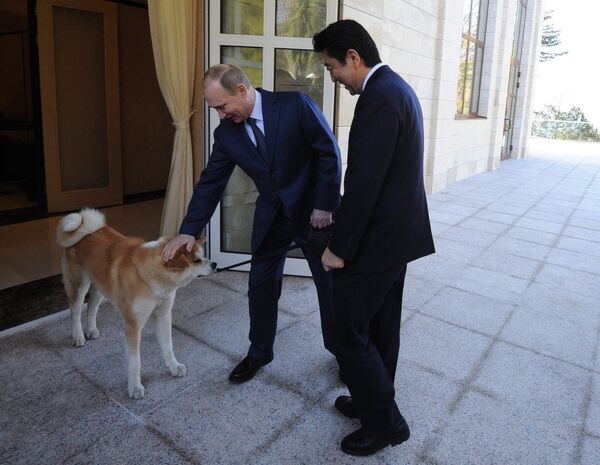 Владимир Путин и Синдзо Абэ во время встречи в резиденции Бочаров ручей. Собака по кличке Юмэ - породы акито-ину