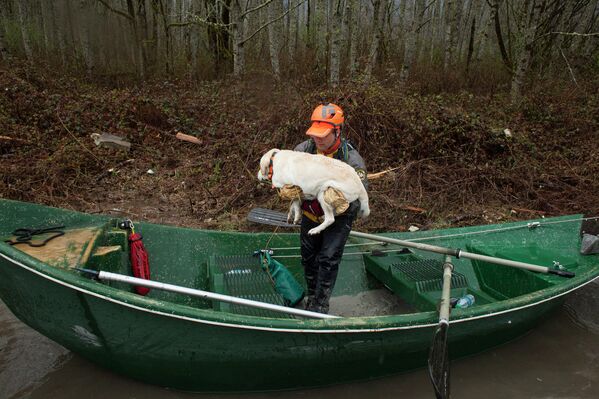 Спасение собаки во время оползня в Вашингтоне