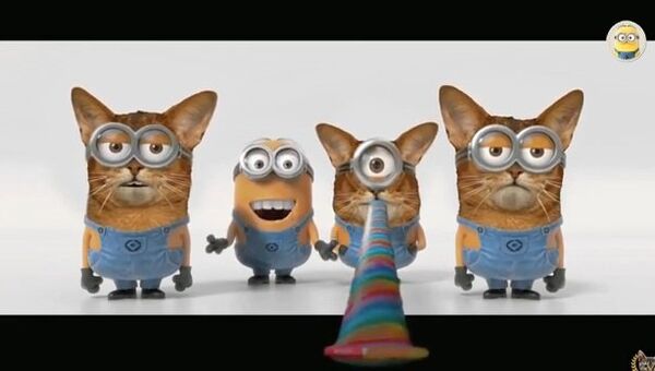 Видео в YouTube: коты спели песню миньонов из мультфильма Гадкий я