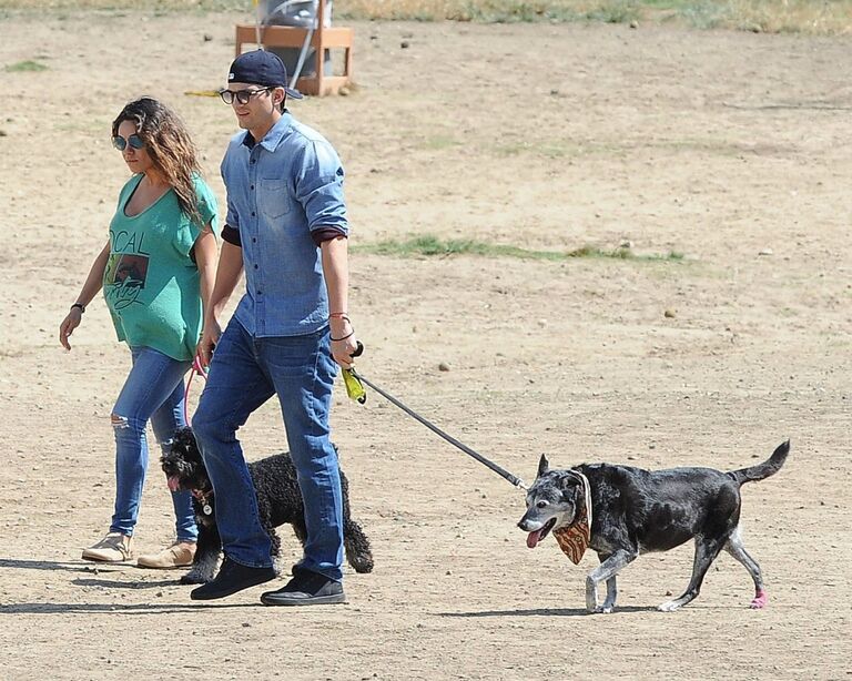 Эштон Кутчер и Мила Кунис на прогулке в Лос-Анджелесе Эштон Кутчер и Мила Кунис на прогулке в Лос-Анджелесе