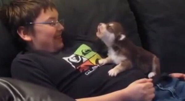 Видео в YouTube: щенок учится выть