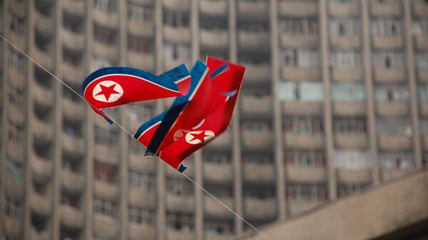 Флаг КНДР, архивное фото