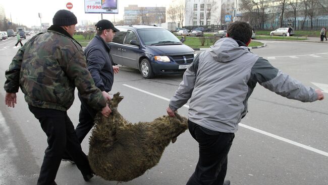 Подготовка к мусульманскому празднику Курбан-Байрам в Москве