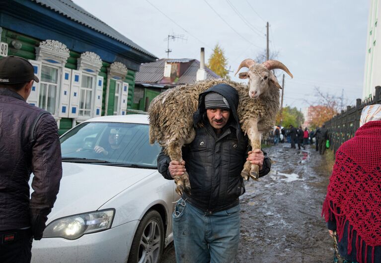 Мусульманин несет барана в день праздника жертвоприношения Курбан-Байрам