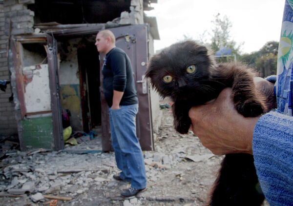 Котенок на руках у женщины рядом с разрушенным домом в Донецке