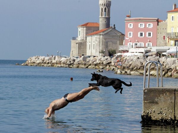 Мужчина с собакой прыгают в воду с пирса, Пиран, 5 октября 2014