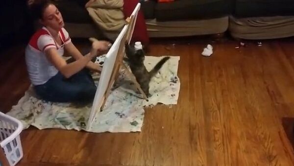 Видео в YouTube: котенок против рисования