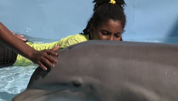 Терапия в аквариуме: дельфины учат особенных детей контактировать с миром
