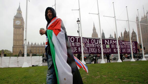 Сторонник признания палестинского государства возле здания парламента в Лондоне 13 октября 2014