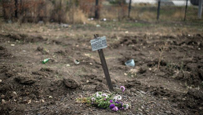 Братская могила возле села Нижняя Крынка