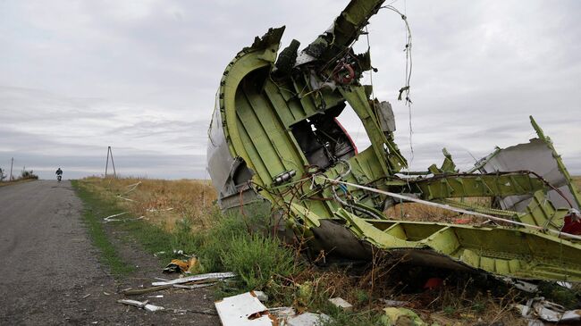 На месте крушения малайзийского самолета Boeing 777 в Донецкой области. Архивное фото