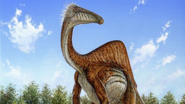 Ученые обнаружили останки “странного” динозавра. Архивное фото