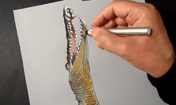 Как нарисовать крокодила в 3d