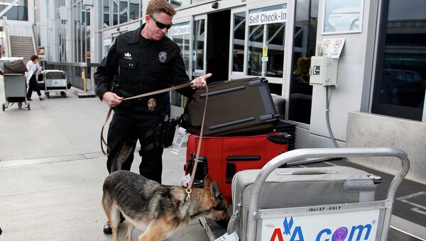 Служба безопасности совершает проверку в аэропорту Лос-Анджелеса. Архивное фото