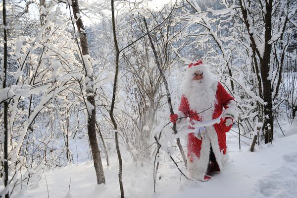 Дед Мороз в зимнем подмосковном лесу