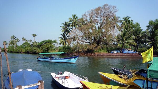 Лодки у берега. Гоа, Индия. Архивное фото
