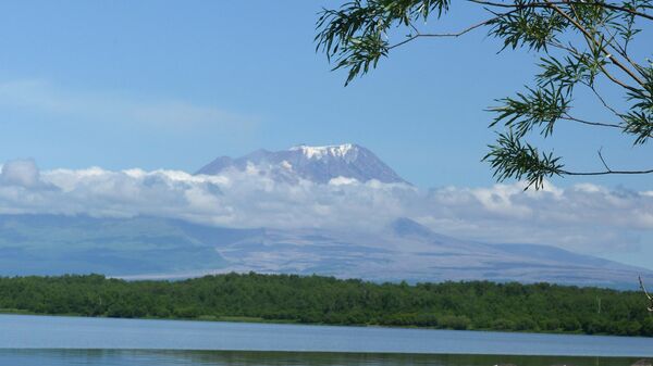 Вид на вулкан Шивелуч с берега реки Камчатка в Камчатском крае