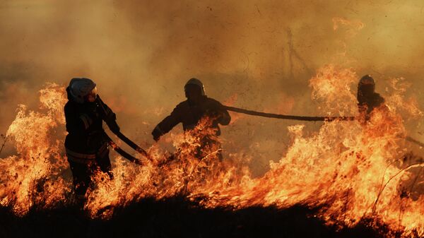 Сотрудники МЧС России тушат горящую траву возле поселка Панковка