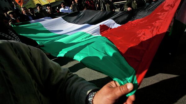 Палестинцы с национальным флагом на улице Газы. Архивное фото
