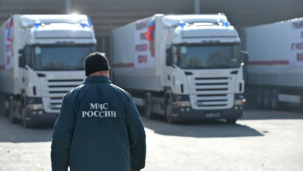 Сотрудник МЧС России у грузовиков с гуманитарной помощью в Донецке