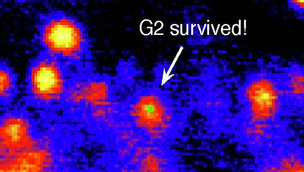 Объект G2, выживший во время своего самого близкого подхода к черной дыре