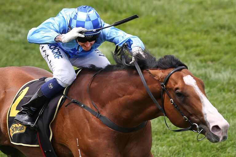 Победитель одного из заездов на скачках Melbourne Cup Day