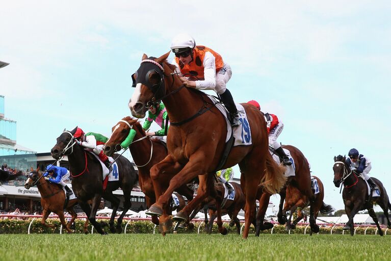 Наездники во время заезда на скачках Melbourne Cup Day