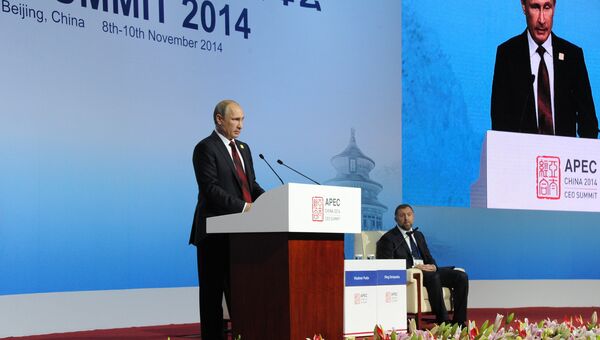 Президент РФ Владимир Путин выступает на заседании секции в рамках Делового саммита форума АТЭС