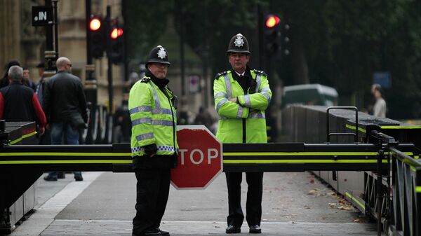 Британские полицейские в Лондоне. Архивное фото