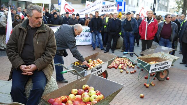 Фермеры и садоводы Польши на акции протеста в Варшаве