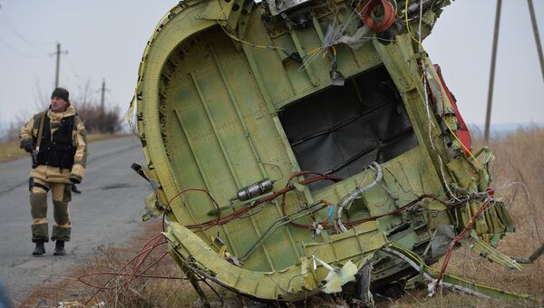 На месте крушения малайзийского Boeing под Донецком. Архивное фото