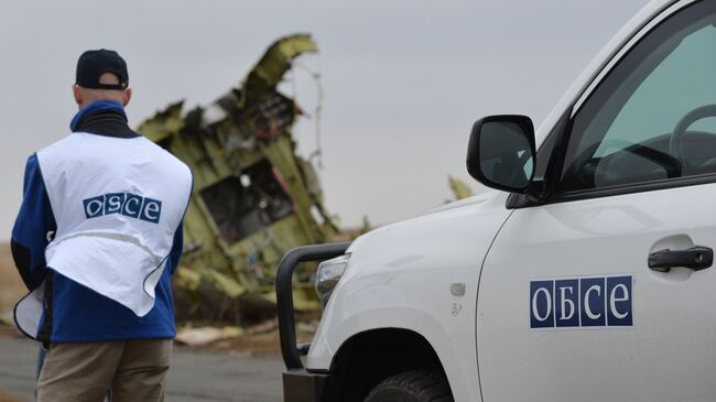 Представители ОБСЕ на месте крушения MH17, архивное фото