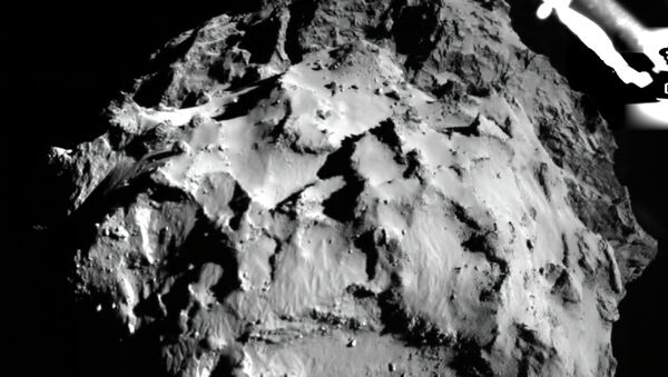 Фотография поверхности кометы Чурюмова-Герасименко. Архивное фото