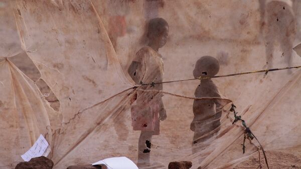 Дети видны через москитную сетку. Окраина Лусаки, Замбия. Архивное фото