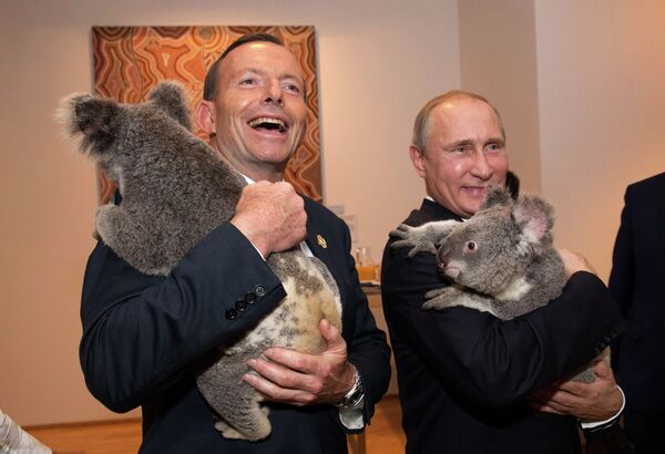 Владимир Путин и Тони Эбботт с коалами