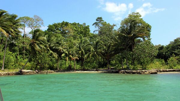 Соломоновы острова. Архивное фото